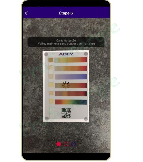Analyse de l´eau du chauffage central et préconisation pour le désembouage